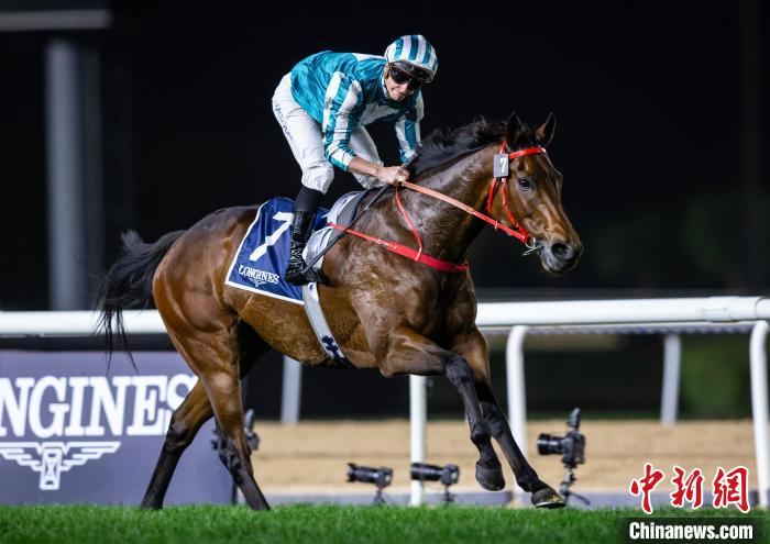 浪漫勇士夺得海外第四座一级赛冠军，刷新香港